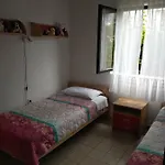 Ana M