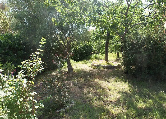 Apartment Ana M Krk Town